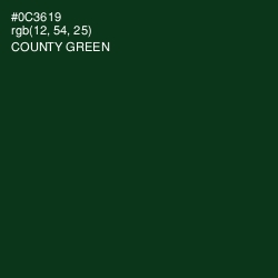 #0C3619 - County Green Color Image